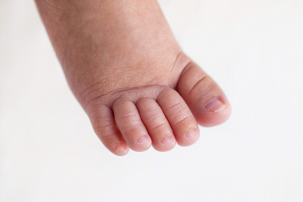 Detailed photograph of a newborn baby’s foot and toes during a professional East Bay newborn photography session.